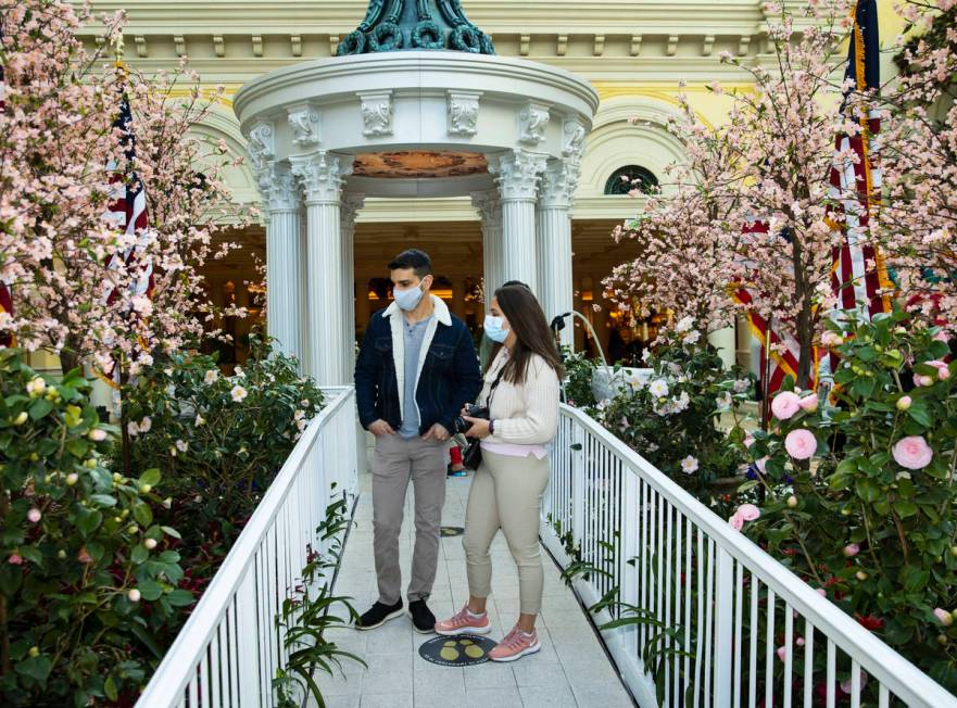 Elena Maican and her fiancee Paul Soto of Washington D.C., visit the Washington D.C. Cherry Blo ...