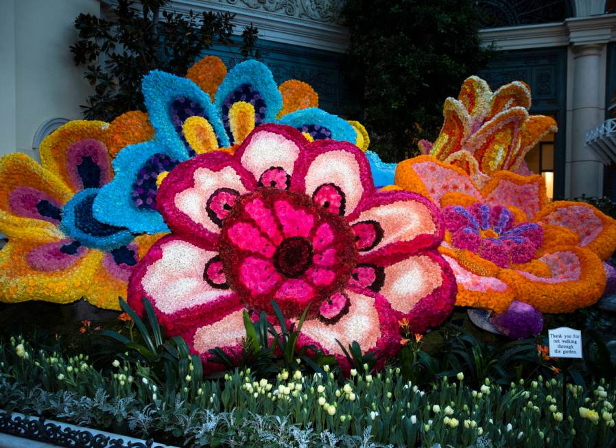 The Bellagio Conservatory, honoring the international celebration of spring, display tulips and ...