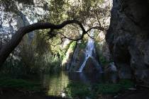 A canopy of tree branches shades the pool below Darwin Falls in Death Valley National Park, Cal ...