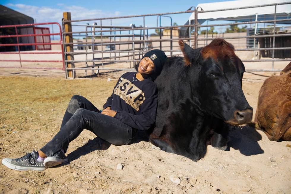 Volunteer Val Worthen hangs out with Holly, a rescued cow, at All Friends Animal Sanctuary in L ...