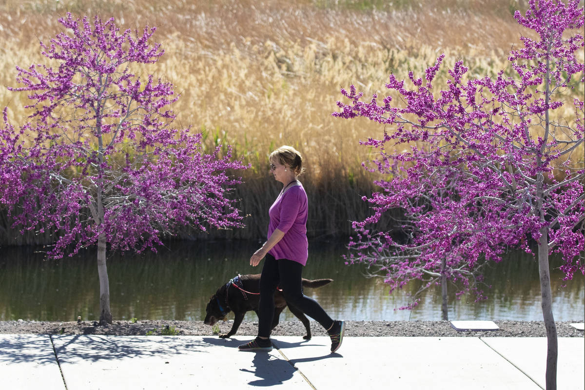 Linda Harvell of Henderson walks with her dog Drake at Cornerstone Park, on Monday, March 29, 2 ...