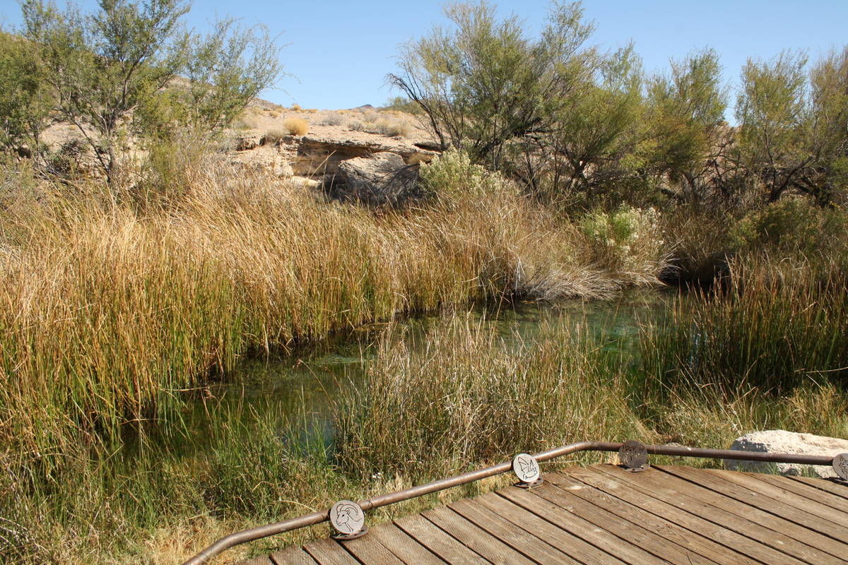 The King’s Pool area at Point of Rocks is a great place to see wildlife and also to catch a g ...