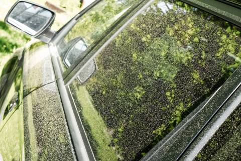Pollen on car (Getty Images)
