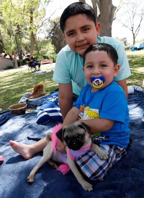 Fabian Sanchez, 9, of Las Vegas, top, and his brother Julian, 3 pose for a photo with their pug ...