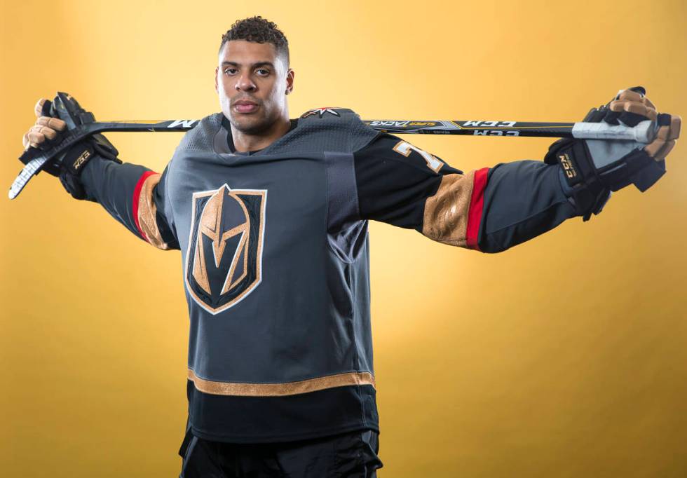 Vegas Golden Knights right wing Ryan Reaves (75) poses for a portrait during the NHL teams medi ...