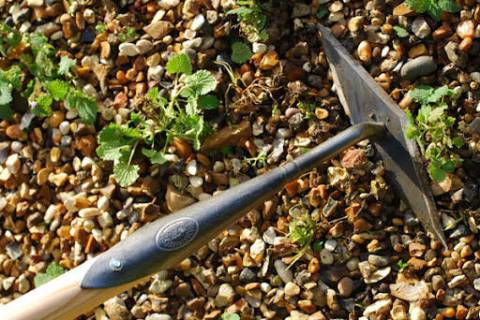 A diamond hoe is used when removing weeds from soils without rocks such as raised beds. (Bob Mo ...