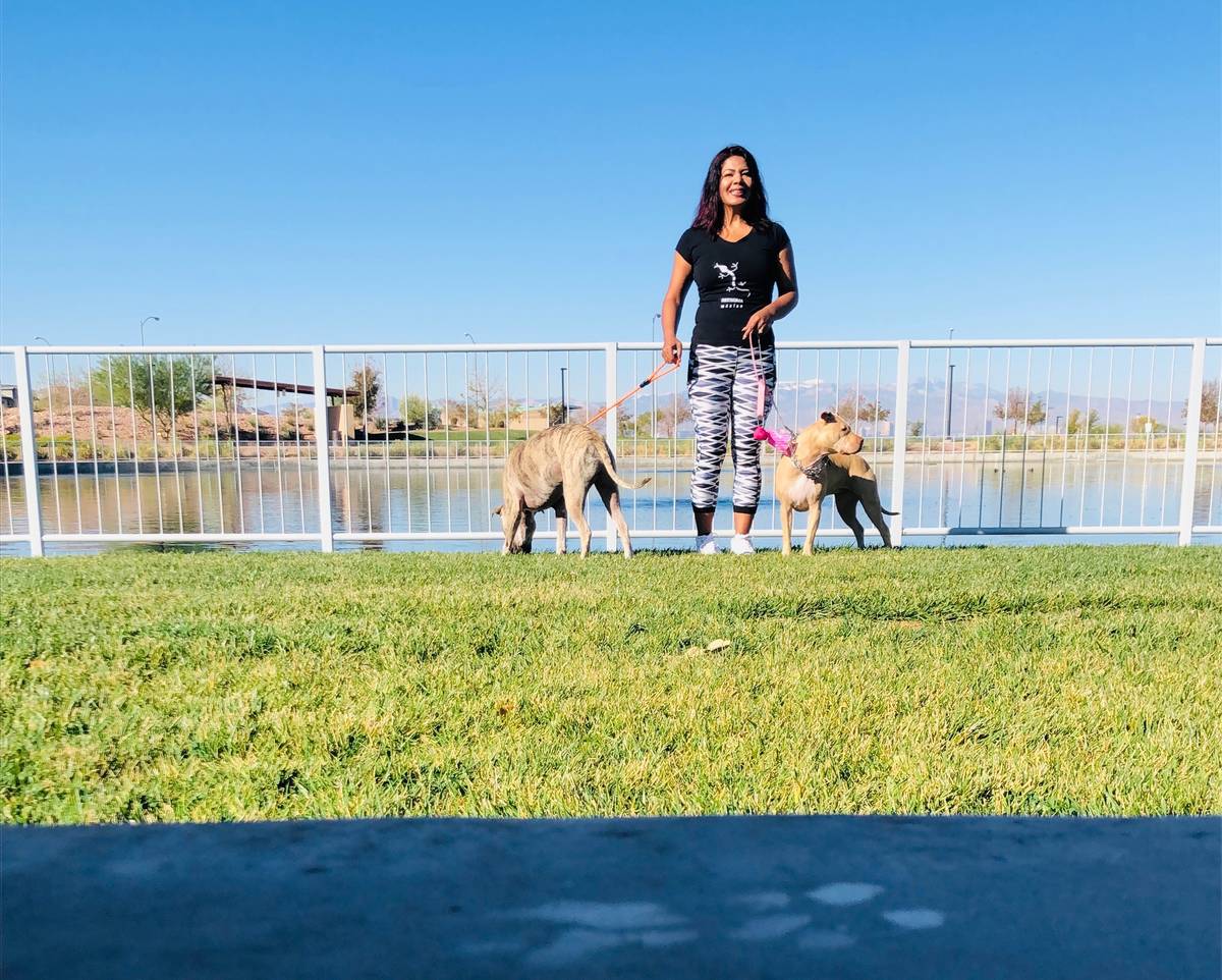 Araceli and Sebastian Gonzalez takes her dogs out for a walk at the Dakota Dog Park in the Dese ...