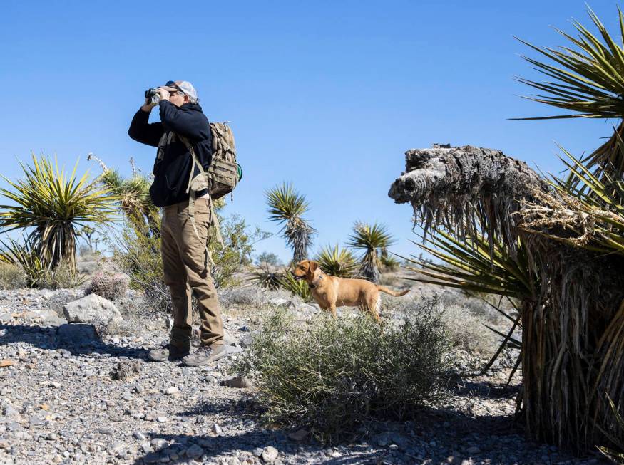 Bill Daniels uses his binoculars to spot stray balloons as his dog, Ruby, accompanies him on Sa ...