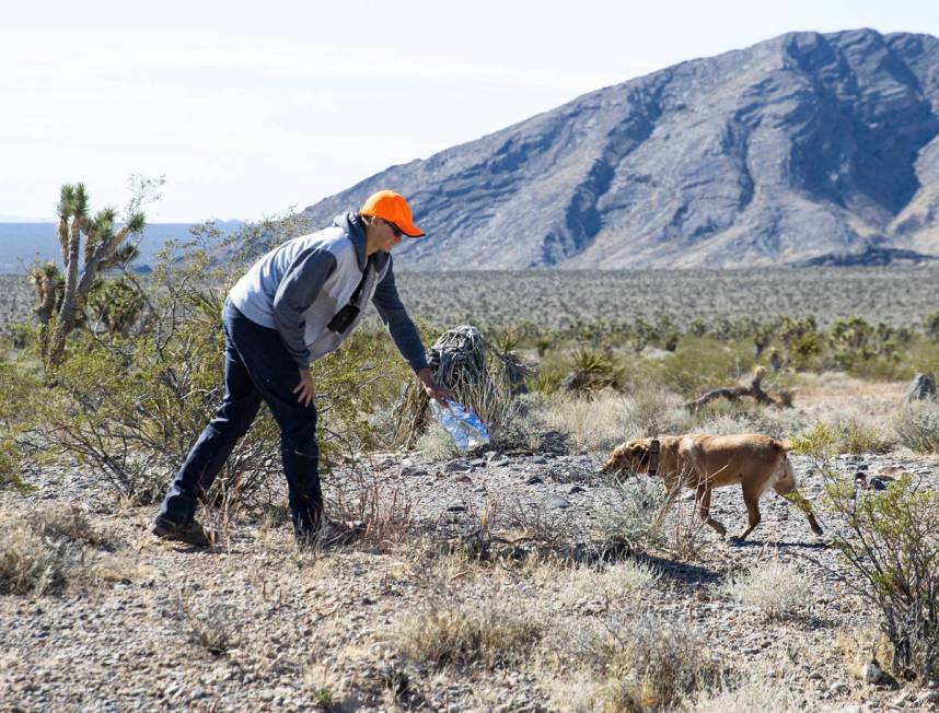 Christian Daniels, 15, retrieves stray balloons from the desert with his dog, Ruby, on Saturday ...