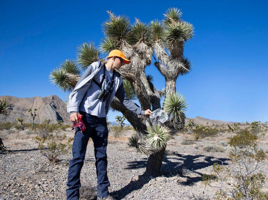 Christian Daniels, 15, retrieves stray balloons on Saturday, April 17, 2021, in Las Vegas. Chri ...