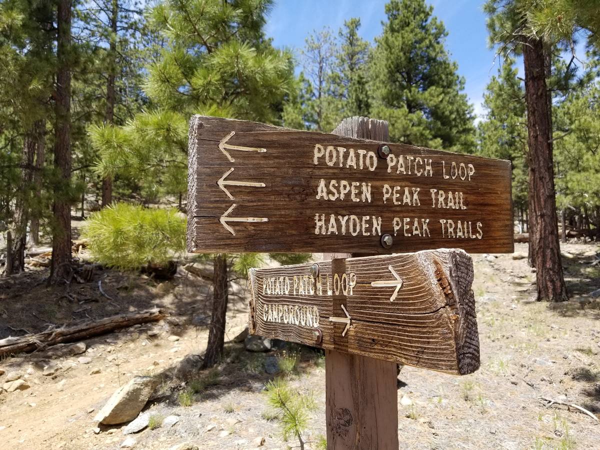 A sign keeps hikers on the Potato Patch Loop and points toward trails that will take trekkers u ...