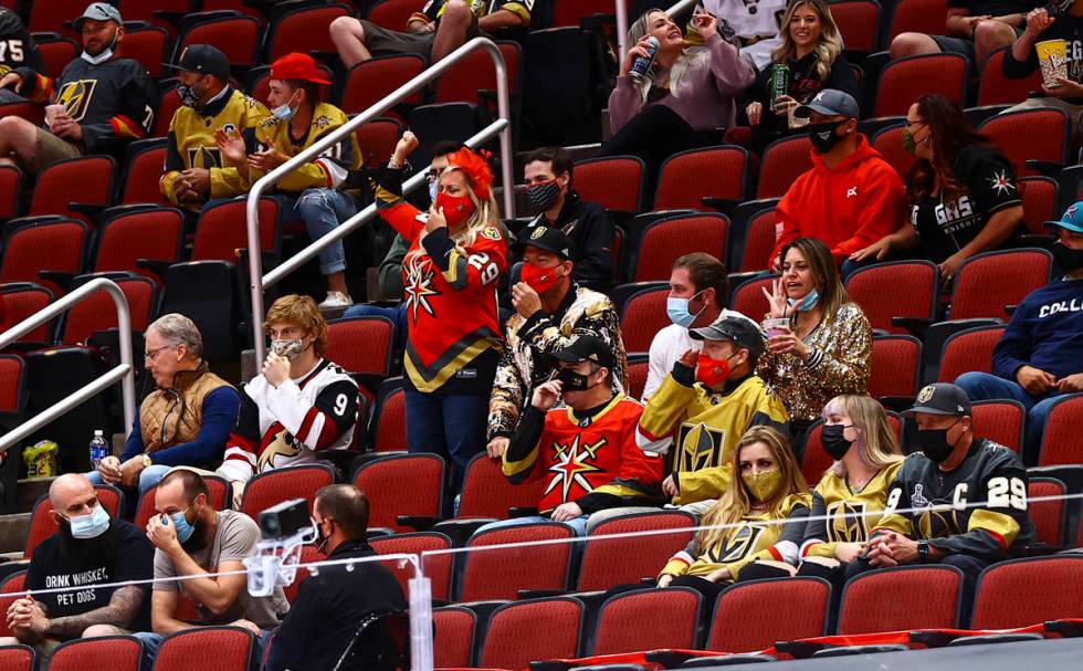 during the third period of an NHL hockey game at Gila River Arena in Glendale, Ariz., on Saturd ...