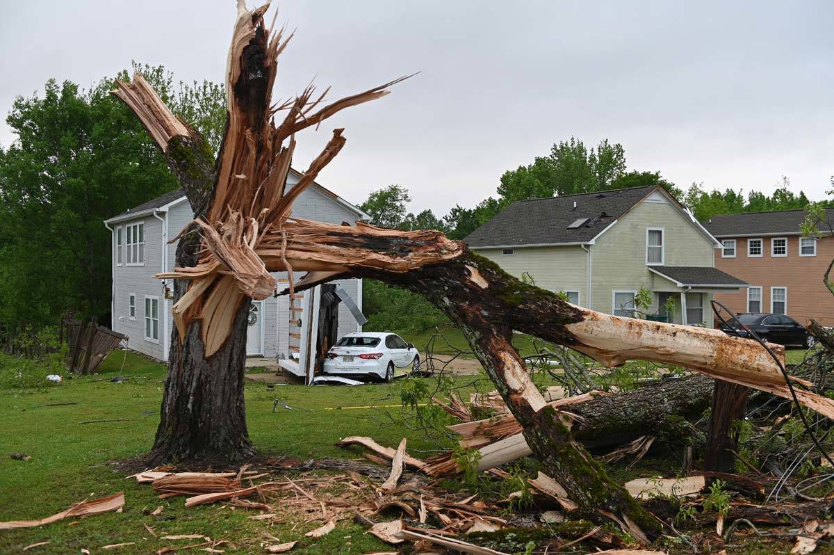 A downed tree and damaged homes are seen along Elvis Presley Drive in Tupelo, Miss., Monday, Ma ...