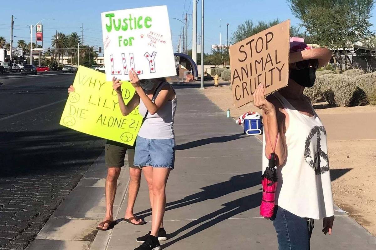Protesters gather in early September 2020 to ask for felony charges against an owner who they s ...