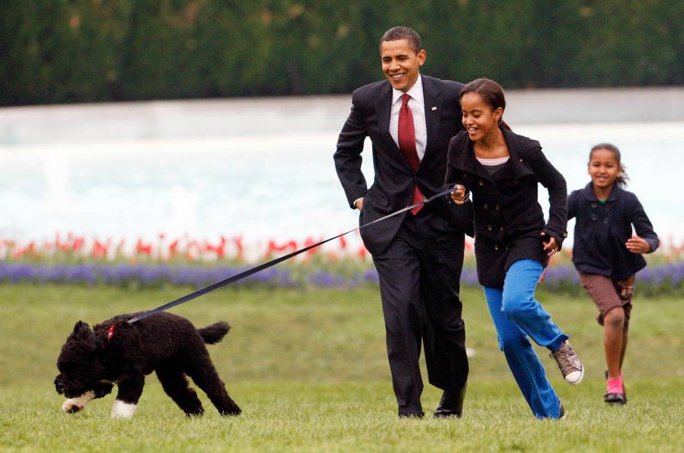 FILE - Int his April 14, 2009, file photo Malia Obama runs with Bo, followed by President Barac ...