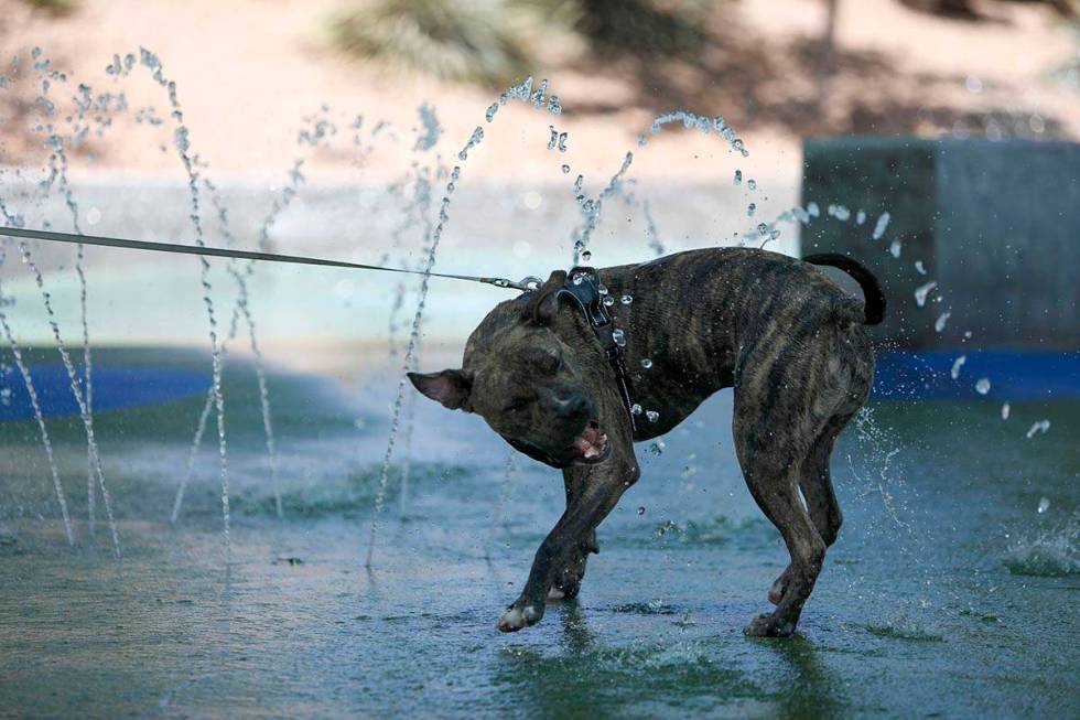 Cooling off will be required by many in the Las Vegas Valley as a high of 90 is forecast for Su ...