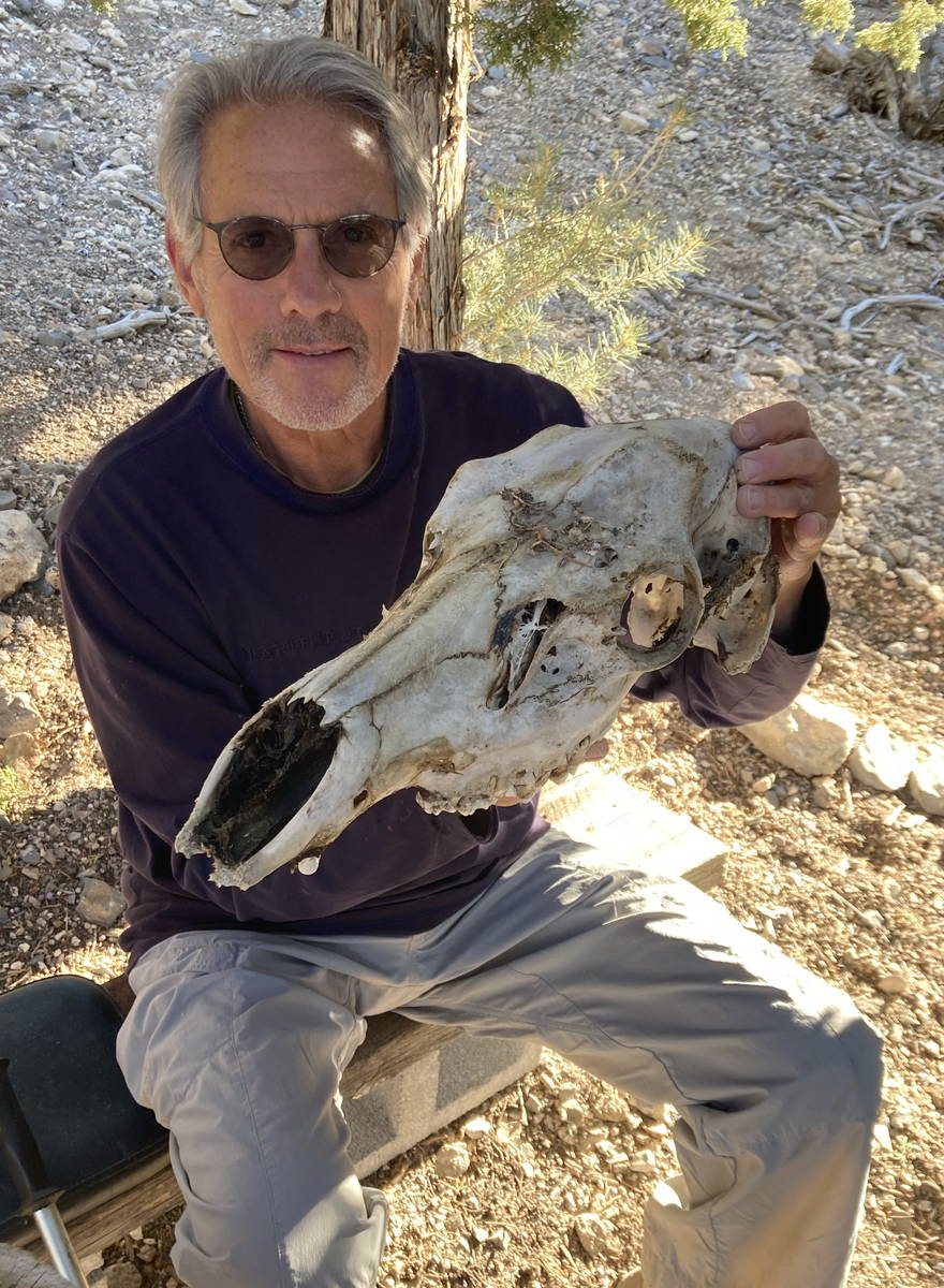Ben Zimmerman holds an elk skull he found on a recent walk.