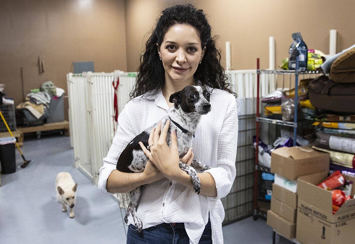 Francesca Fulciniti, executive director of Heaven Can Wait Animal Society, holds Nina as she po ...
