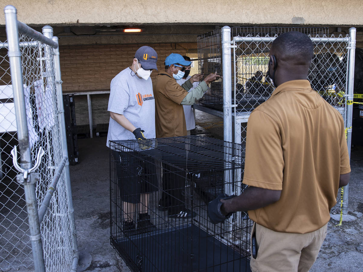 Volunteers place dog kennels into a pet holding area at the Courtyard Homeless Resource Center, ...