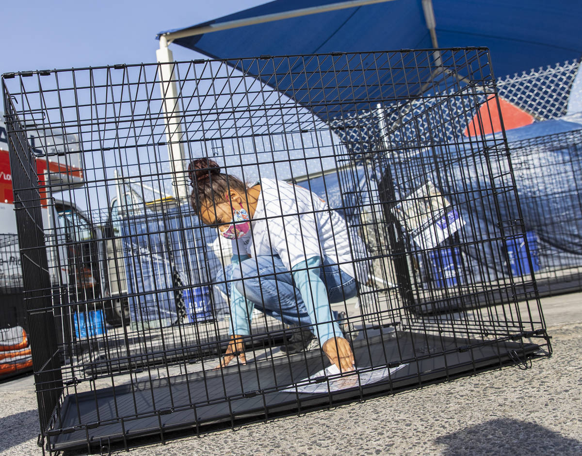 Ashley Carr, a volunteer, assembles a dog kennel at the Courtyard Homeless Resource Center, on ...