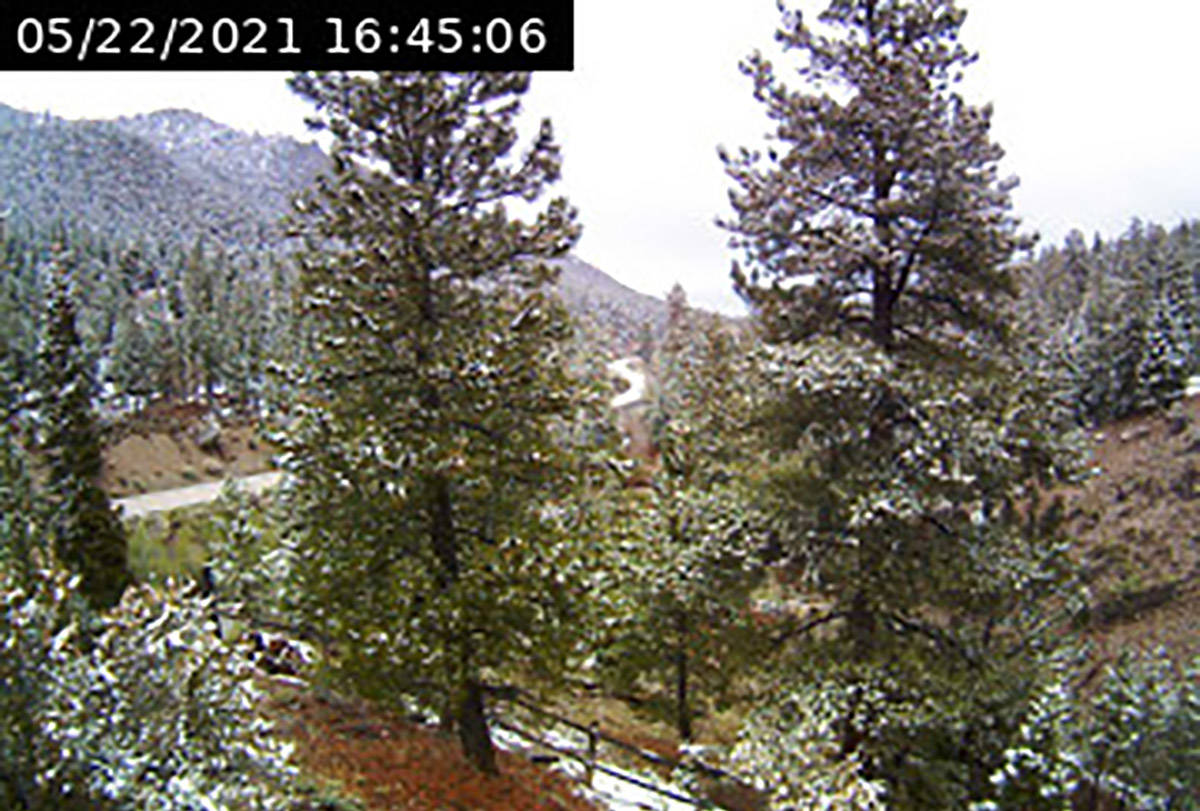 Most of the snow that fell on Mount Charleston early Saturday, May 22, 2021, was gone by the mi ...