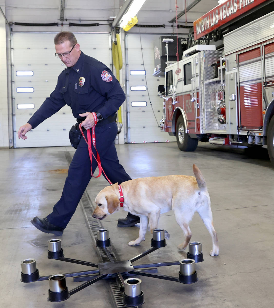 New North Las Vegas Fire Department accelerant detection K-9, Jersey, works with fire investiga ...