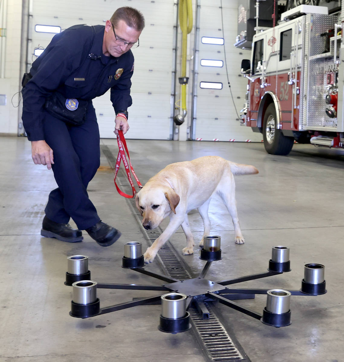 New North Las Vegas Fire Department accelerant detection K-9, Jersey, works with fire investiga ...