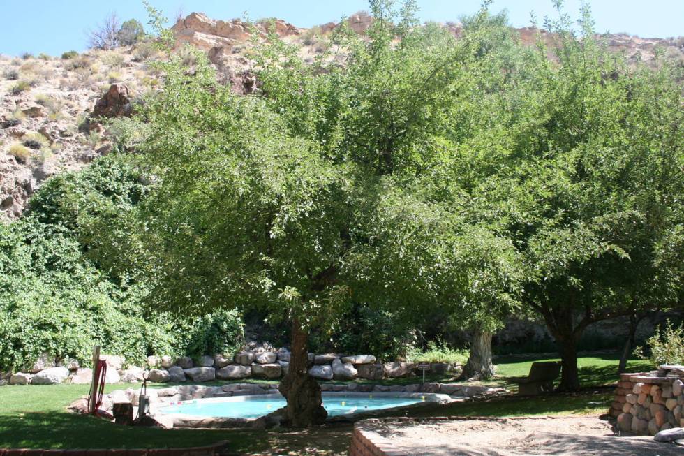 The spring-fed wading pool was built by the CCC and is one of the favorite places in the park f ...
