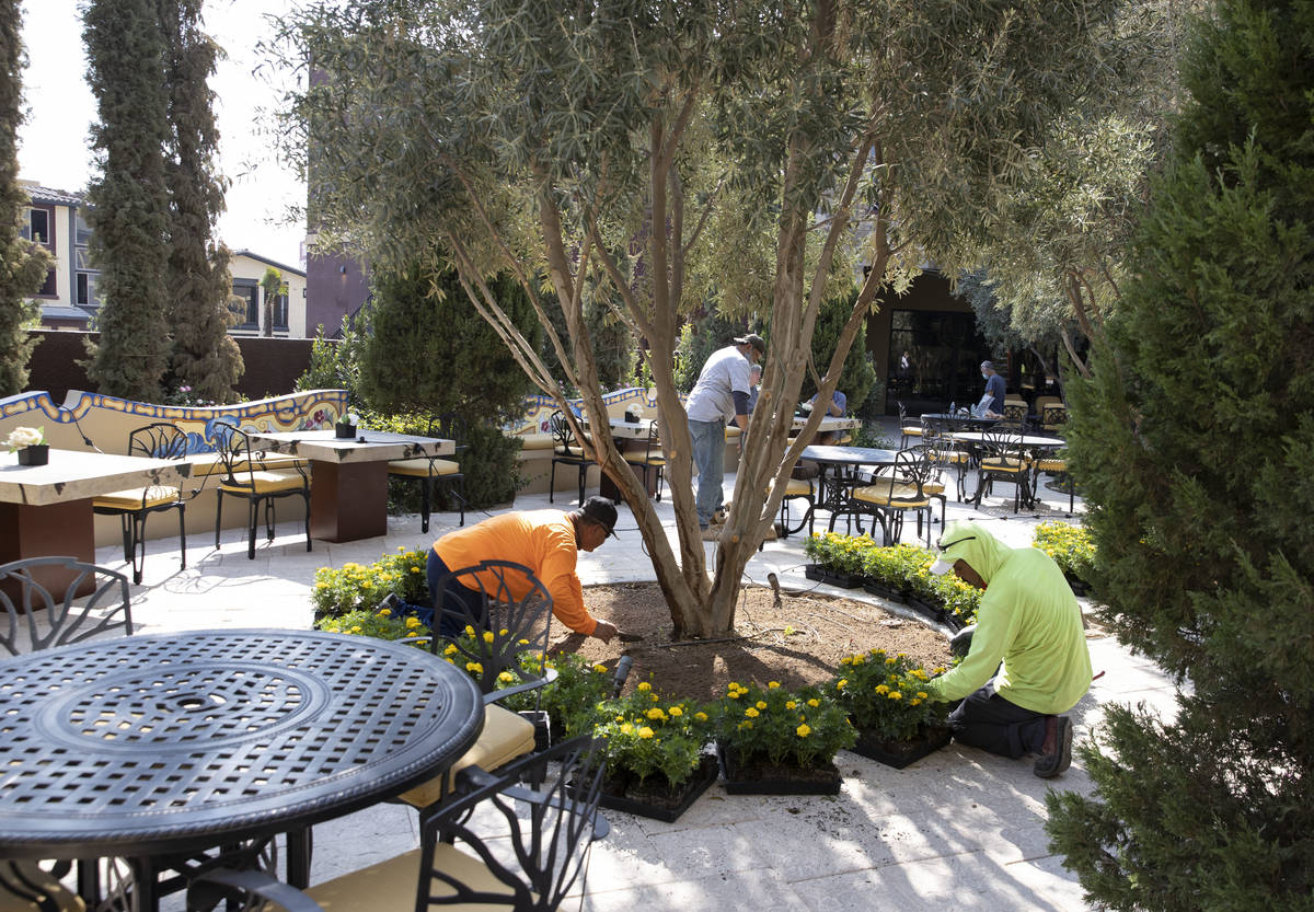 Wine garden and a terrace at the Tuscan Highlands apartment complex under construction near the ...