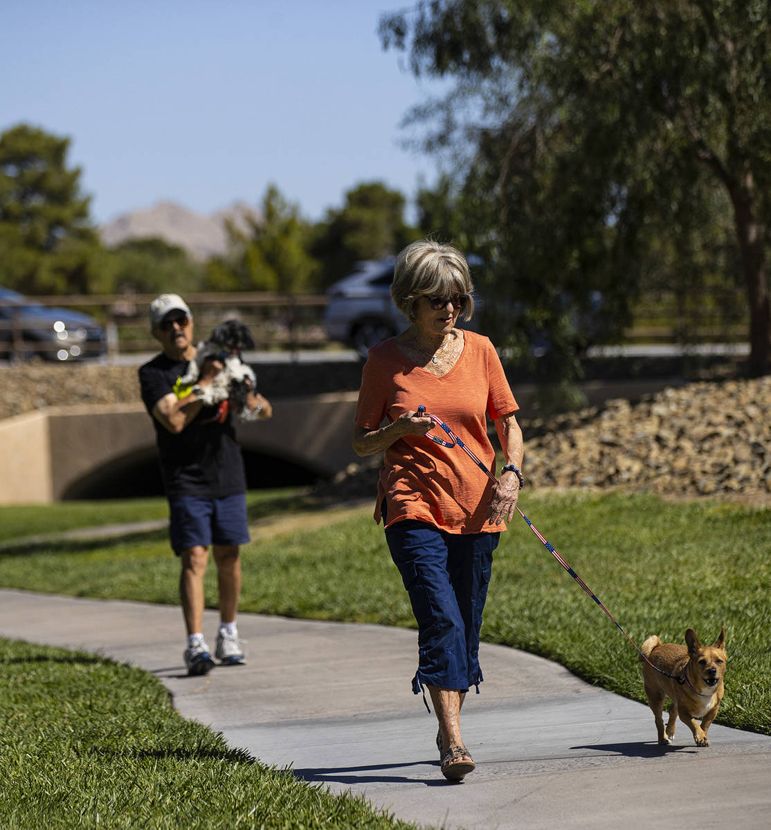 Carol Liberty walks her dog, Mikey, in Sun City Summerlin on Friday, May 28, 2021. (Chase Steve ...
