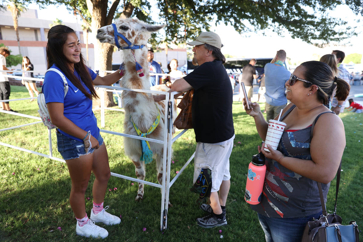Aubrey Coleman, right, of Pahrump, takes a photo of her daughter Paris, 15, with Dollie-Llama, ...