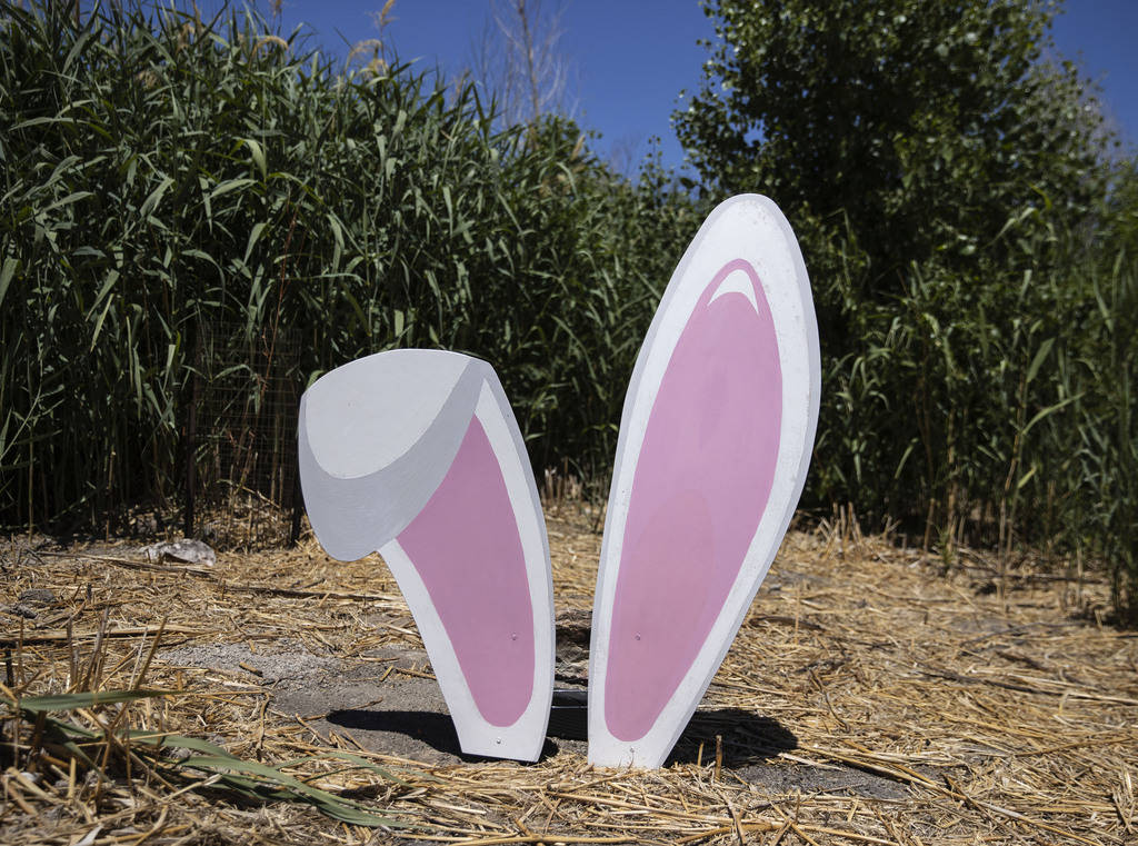 An art work made by Wendy Armitage is displayed along the Clark County Wetlands ParkÕs tra ...