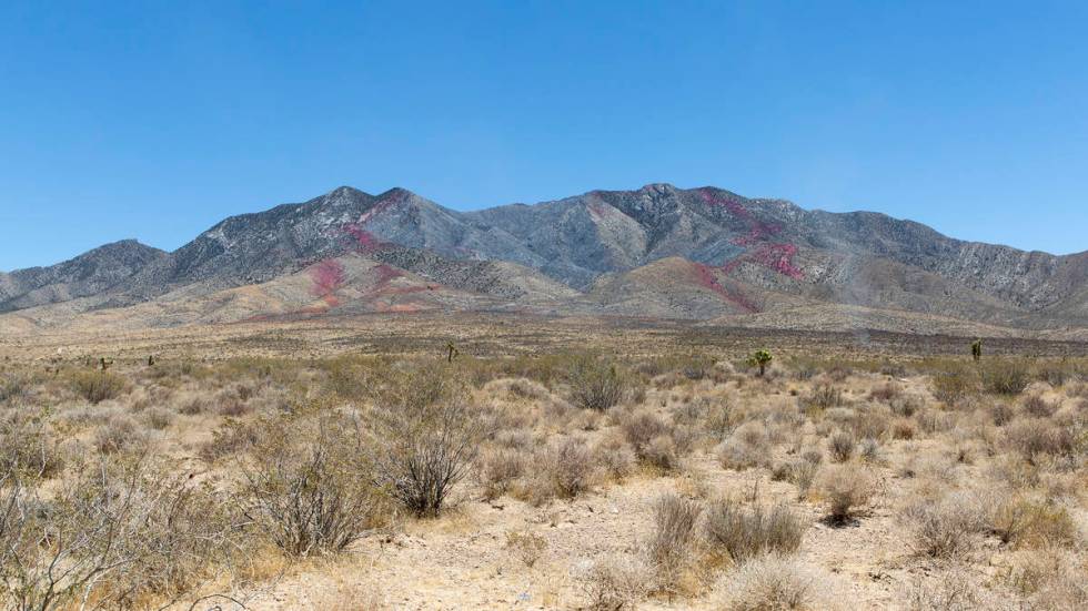 Fire retardant is present on the western slope of Potosi Mountain while crews battle the Sandy ...