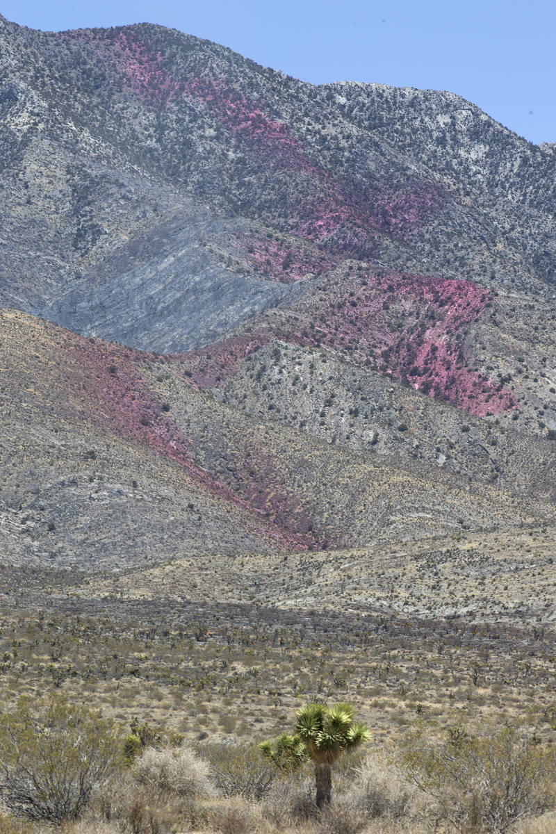 Fire retardant is present on the western slope of Potosi Mountain while crews battle the Sandy ...