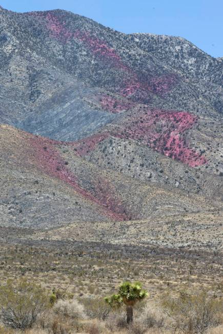 Fire retardant is present on the western slope of Potosi Mountain while crews battle the Sandy ...