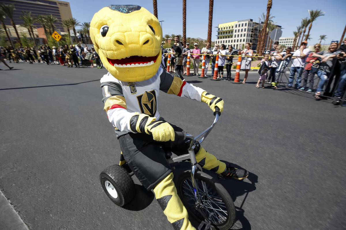 Vegas Golden Knights mascot Chance the Golden Gila Monster rides a tricycle as fans line outsid ...