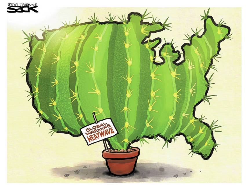 (Steve Sack/The Minneapolis Star-Tribune)