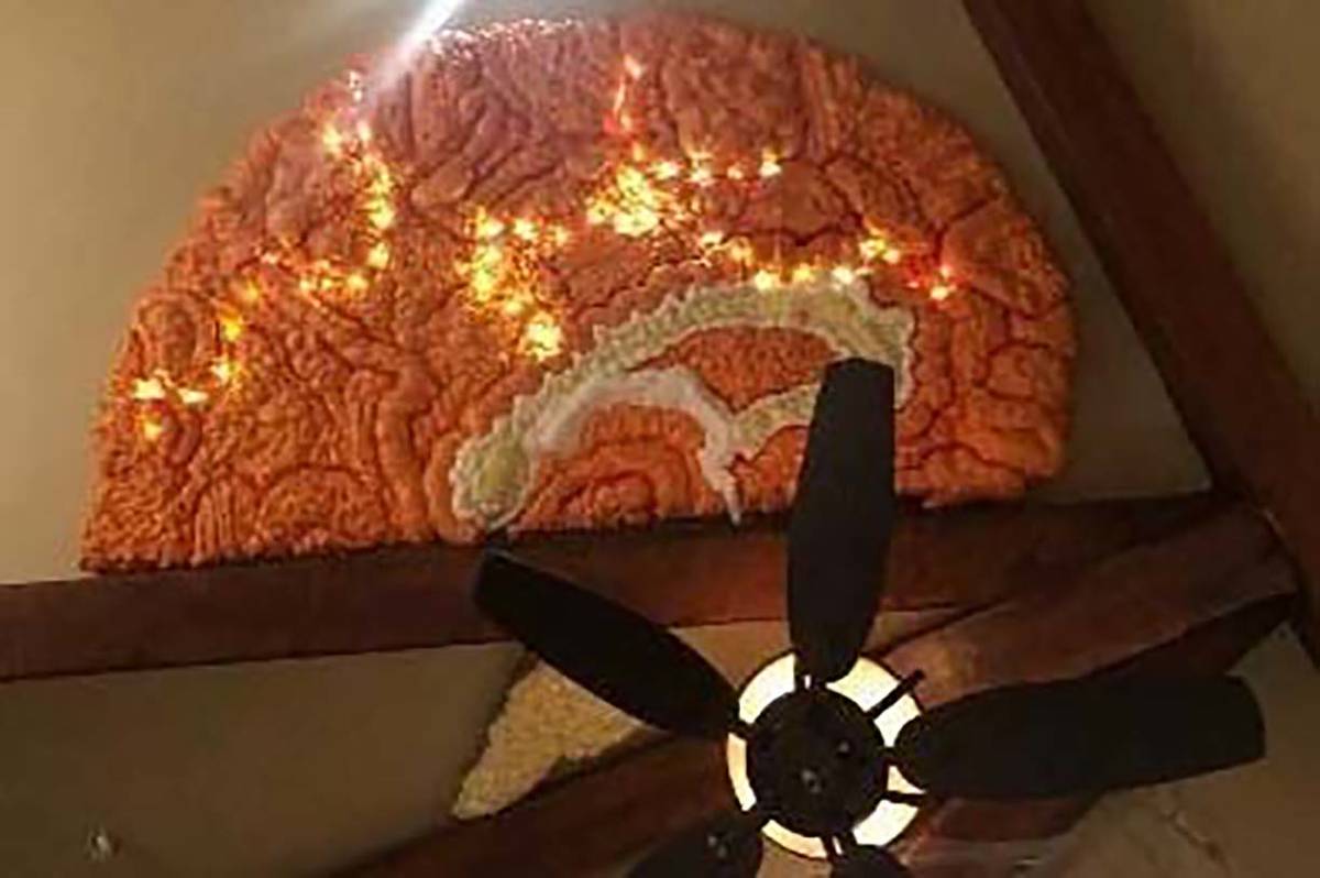 Custom ceiling brain prototype. A creditor's claim says tech mogul Tony Hsieh offered to pay $4 ...