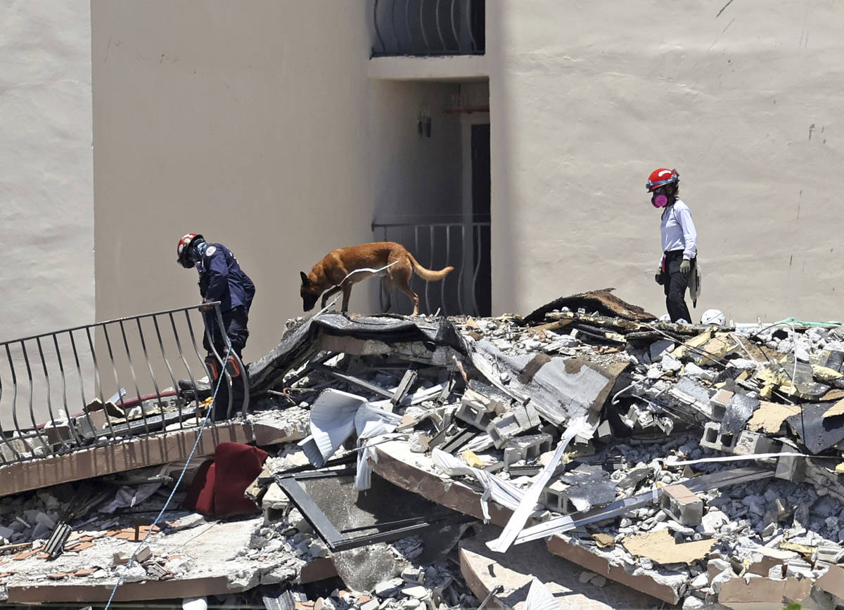 Search and rescue personnel search for survivors through the rubble with their dogs at the Cham ...