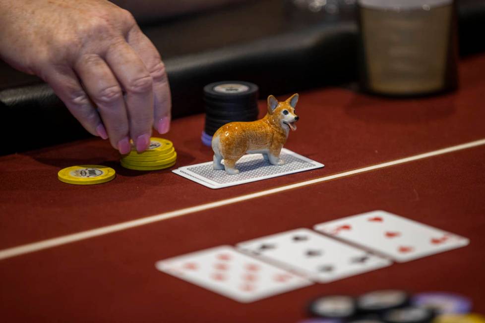 A lucky charm dog sits atop a hand as players compete in the $350 buy-in Ladies International P ...