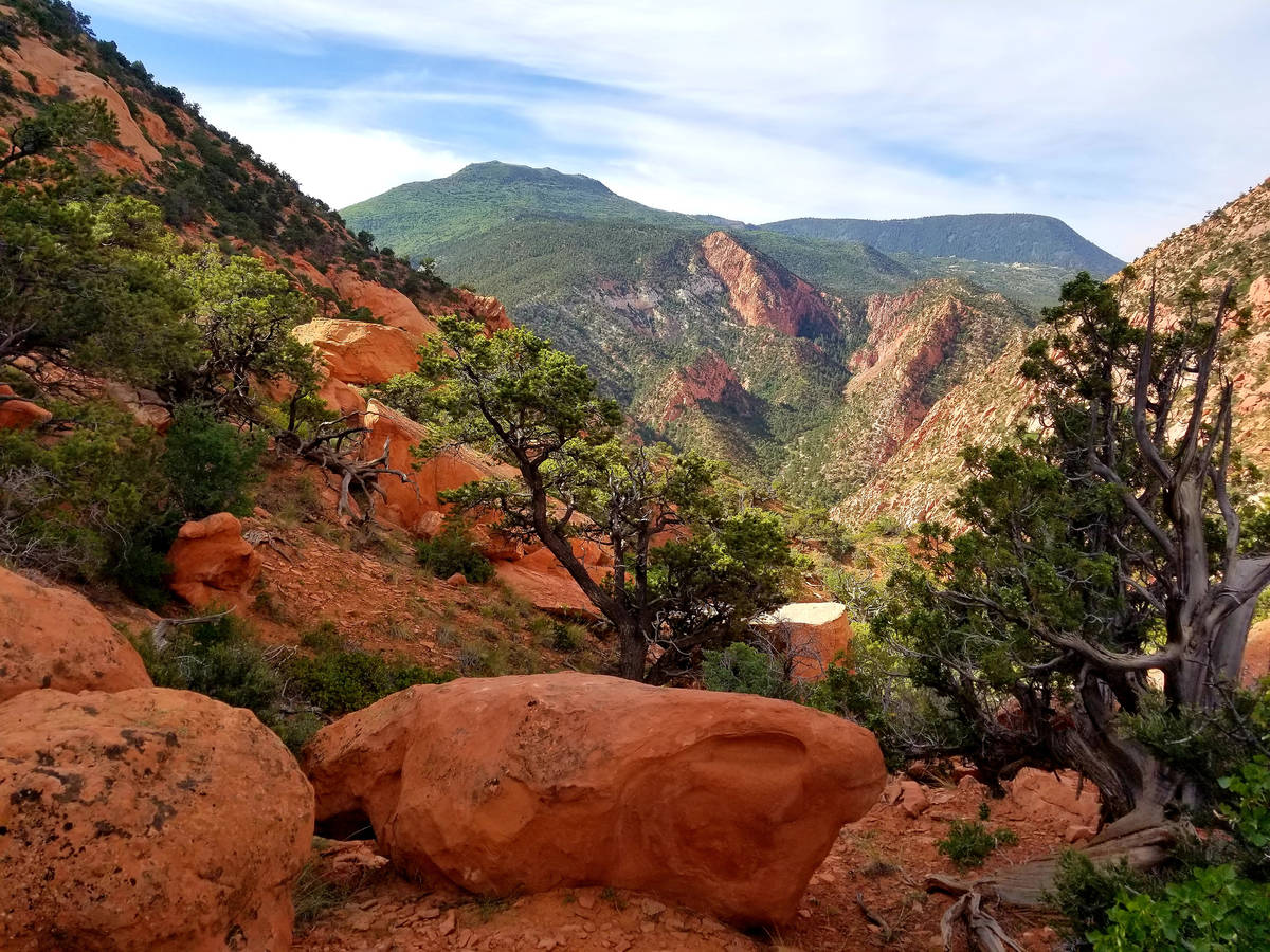 Stunning geology is a constant up and down the canyon, where Red Hollow trail climbs to Thor&#x ...