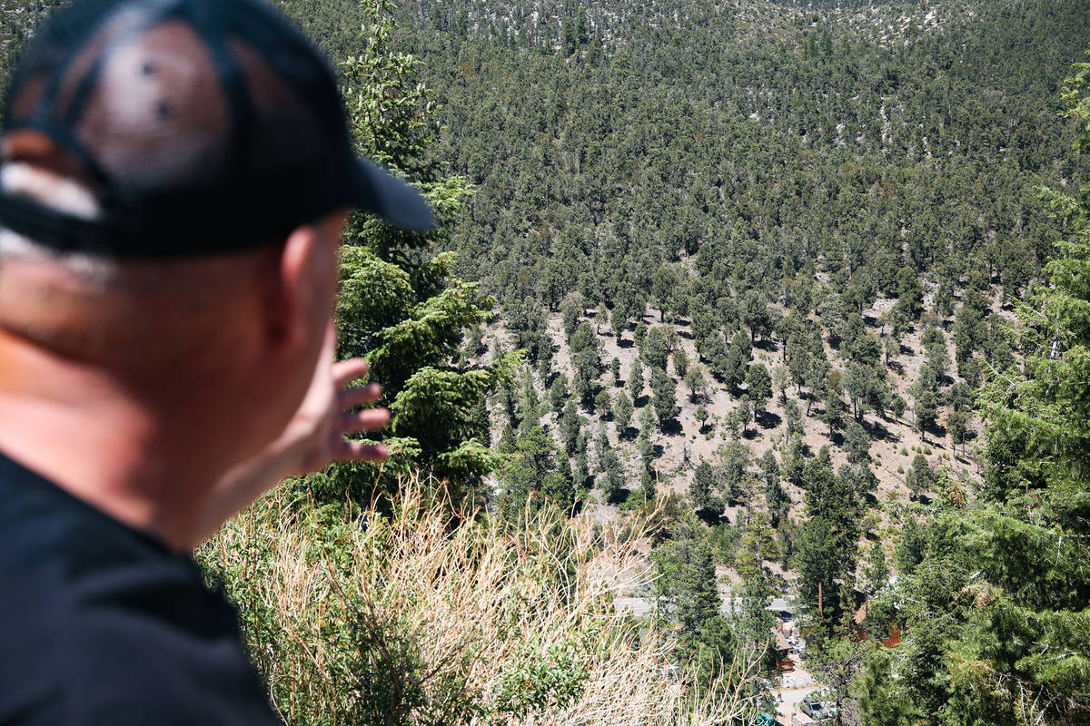 Ray Johnson, fire prevention officer with the U.S. Forest Service, shows an example of fuel bre ...