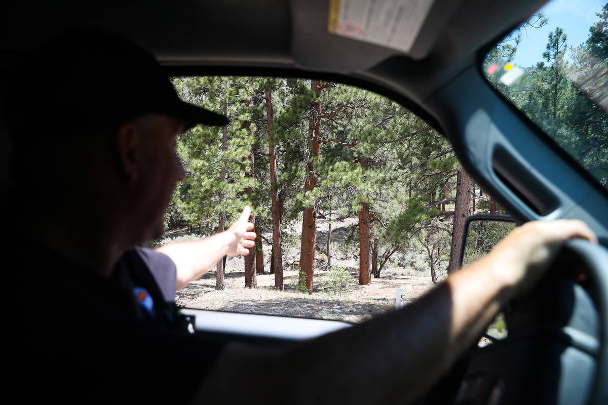 Ray Johnson, fire prevention officer with the U.S. Forest Service, shows an example of fuel bre ...