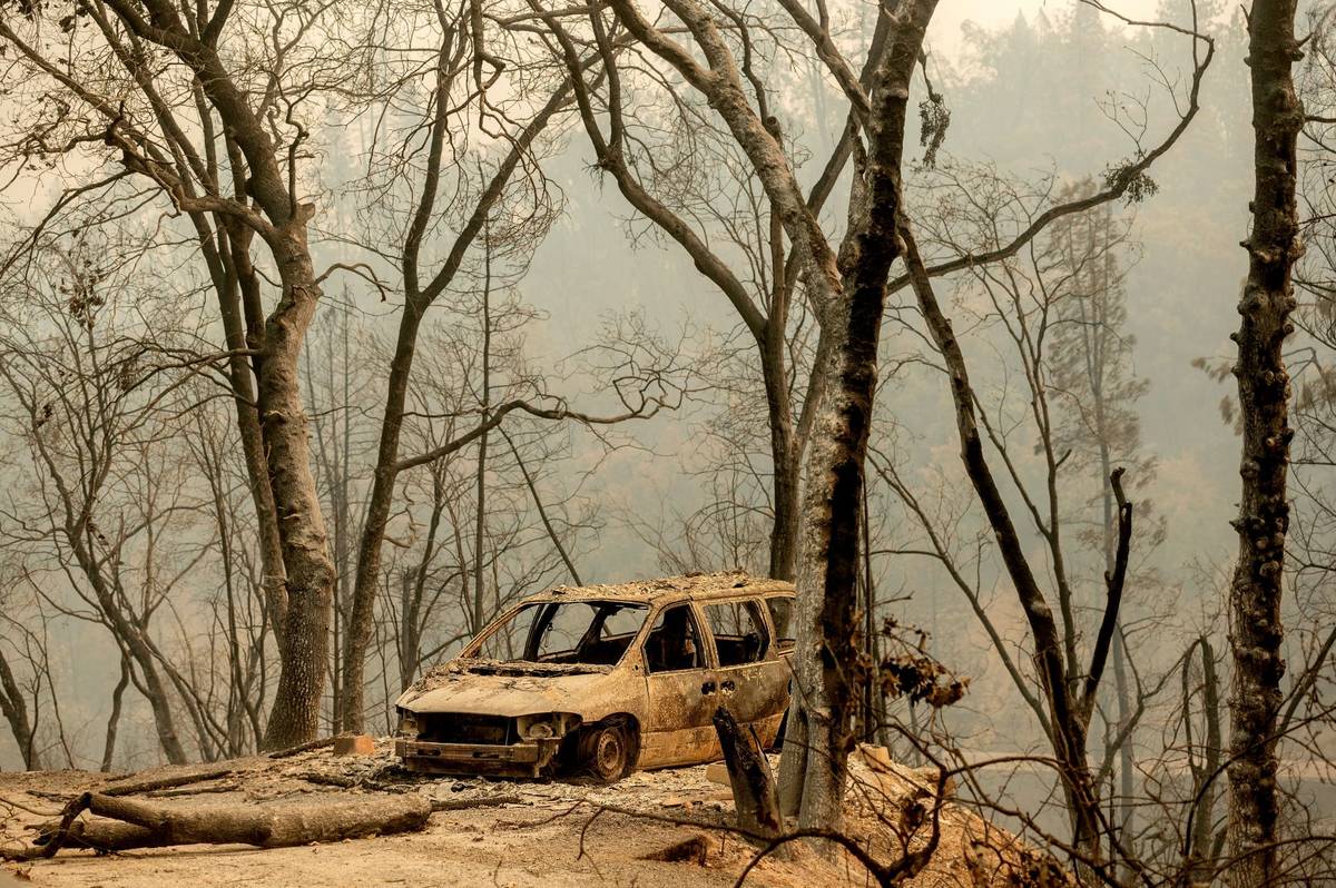 A scorched vehicle rests in a clearing in the Lakehead-Lakeshore community of unincorporated Sh ...