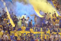 Fans celebrate a score by Tigres against Cruz Azul during the second half of the Leagues Cup Fi ...