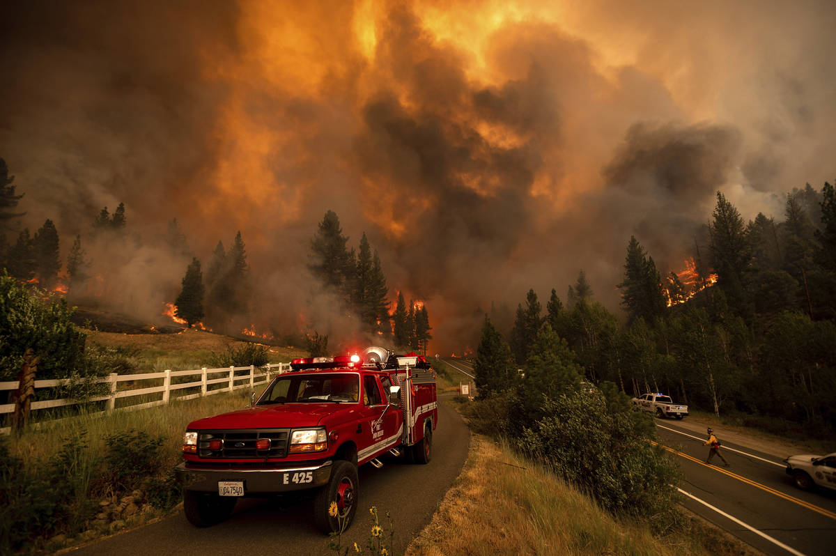 Firefighters battle the Tamarack Fire in the Markleeville community of Alpine County, Calif., o ...