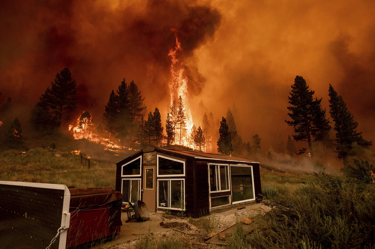 The Tamarack Fire burns behind a greenhouse in the Markleeville community of Alpine County, Cal ...