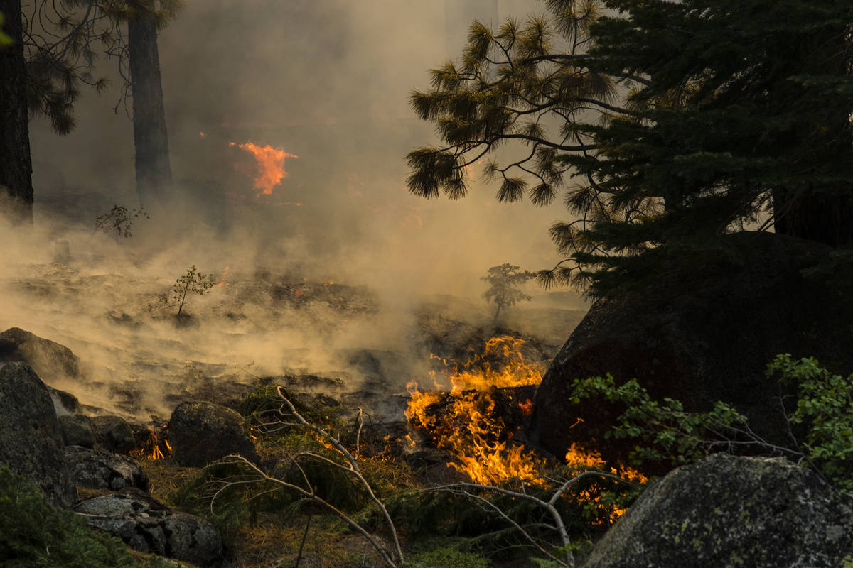 The Tamarack Fire burns around California State Route 88 near Alpine Village, Calif., Friday, J ...