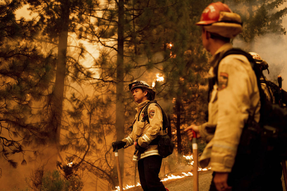Firefighter Jason Prado monitors flames as his crew burns vegetation to stop the Dixie Fire fro ...