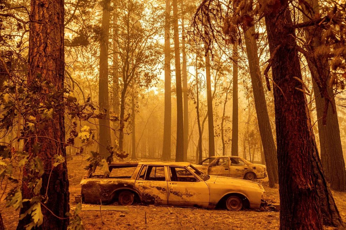 Following the Dixie Fire, scorched cars are seen in a clearing in the Indian Falls community of ...
